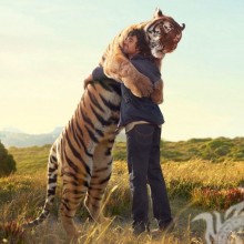 Funny icon hugs with a tiger