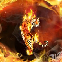 Тигр в огне красивая картинка на аву