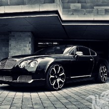 Bentley Profilbild herunterladen
