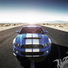 Laden Sie ein Bild eines coolen Mustangs auf Ihr Profilbild herunter