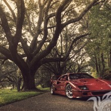 Laden Sie das Ferrari-Bild für das Profilbild herunter