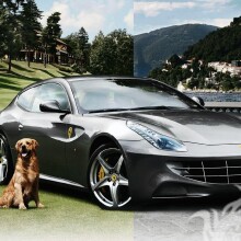 Sporty luxury car for a guy download on avatar photo