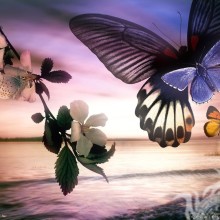 Schmetterlingsbild gezeichnet