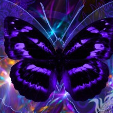 Papillon néon