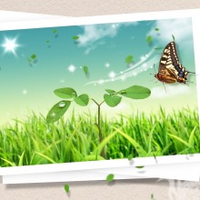 Download da imagem da borboleta