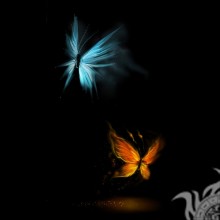 Метелики на чорному