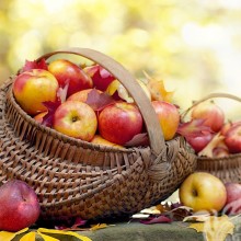 Descargar manzanas en la cesta