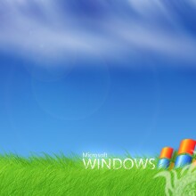 Microsoft Windows логотип на аву