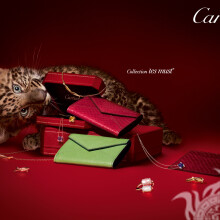 Cartier jewelry photo for profile picture