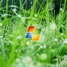 Windows логотип в траве на аву