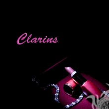 Clarins lipstick photo on your profile picture