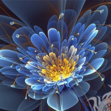 Télécharger le dessin de fleur pour avatar