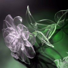 Descargar foto de flor a avatar