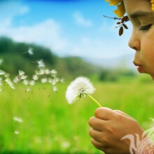 Girl with dandelion avatar download