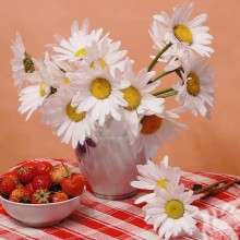 Camomiles in a vase with strawberries photo