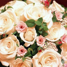 Розовые розы на аватар