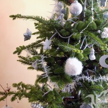 Foto del árbol de Navidad en el avatar de Facebook