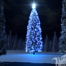 Sapin de Noël sur avatar télécharger sur profil