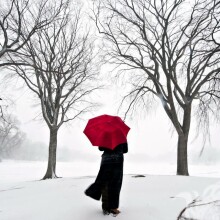 Девушка под красным зонтом в зимнем лесу на аву