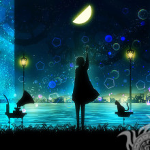 Girl silhouette cat water night in the photo