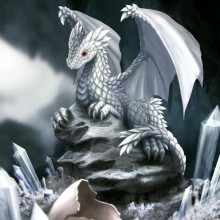 Imagem com um dragão em um avatar