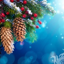 Weihnachtsbaumzweig auf Avatar herunterladen
