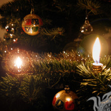 Гілка новорічної ялинки на аватар