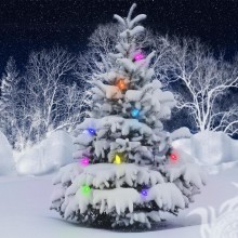 Foto da capa com árvore de natal