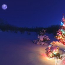 Bosque de año nuevo en avatar
