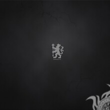 Chelsea logo on avatar