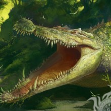 Crocodile à pleines dents sur avatar