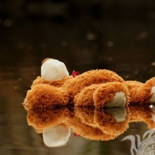 Teddybär auf einem traurigen Avatar