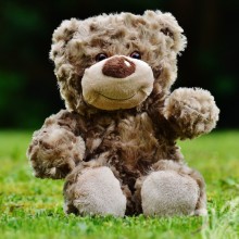 Teddy bear on avatar