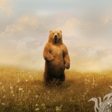 Hermoso arte con un oso para la portada de VK.