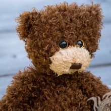 Teddy bear download for avatar