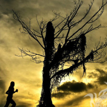 Бегущая девушка чёрное дерево на страницу
