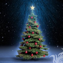 Christmas tree on a new avatar