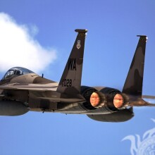 Descargar para avatar foto de avión militar gratis