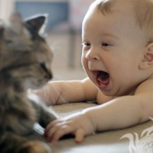 Малыш и кот прикольная ава