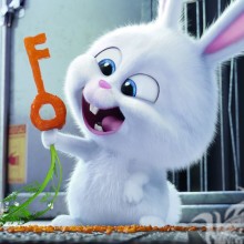 Kaninchen-Avatar Das geheime Leben der Haustiere
