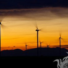 Wind Farm account