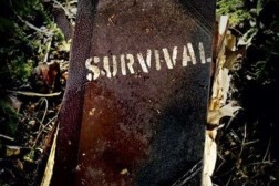 Мифы о выживании. Как правильно выживать.