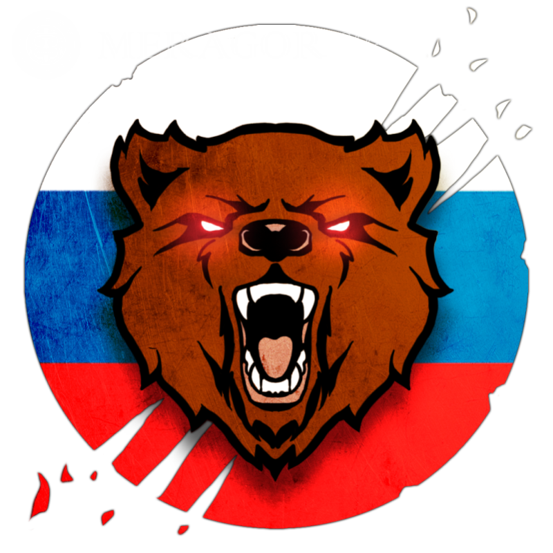 Медведь на фоне флага на аву скачать Для клана Русские