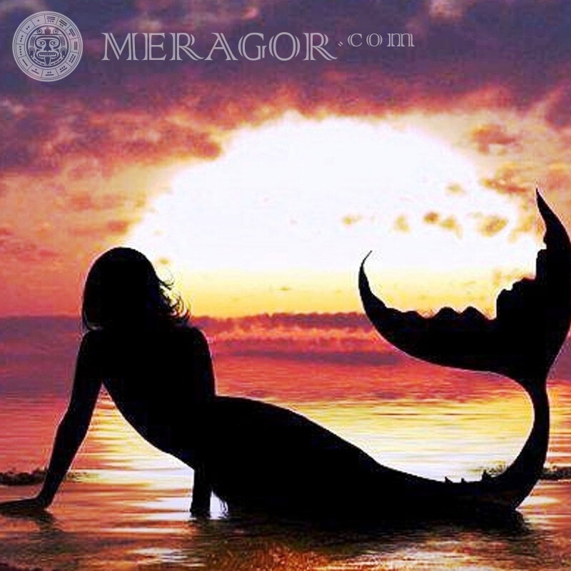 Mermaid silhouette Mermaids Silhouette