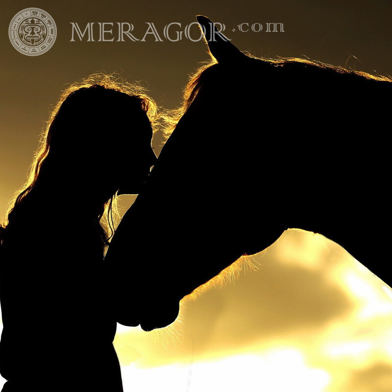 Foto de garota beijando cabeça de cavalo Cavalo