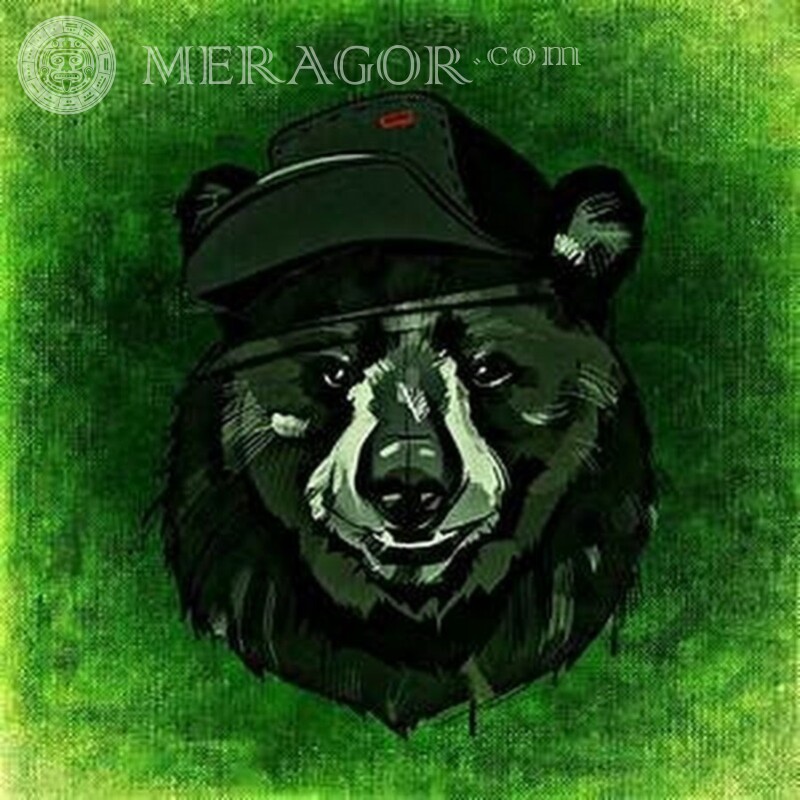 Bear in a cap for icon download For the clan Bears