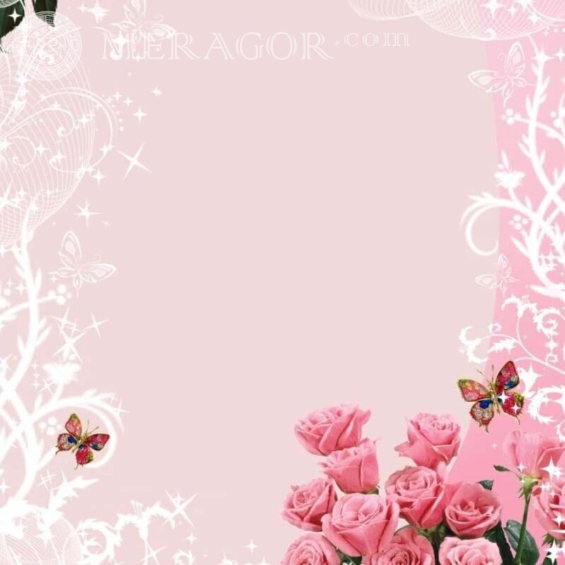 Rosas na foto do avatar Feriados Cores