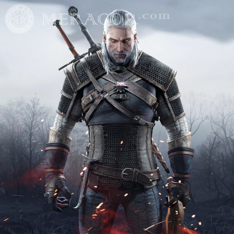 Witcher avatar download The Witcher All games With weapon