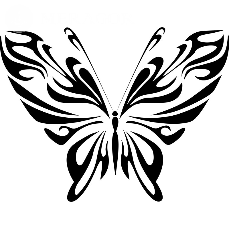Abstraction de papillon par page Papillons