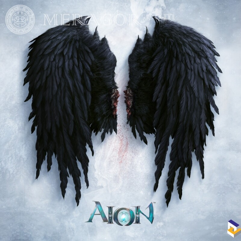 Download a photo from the game Aion to the guy's avatar All games